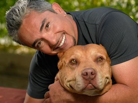 cesar millan  dog bites  boyfriend