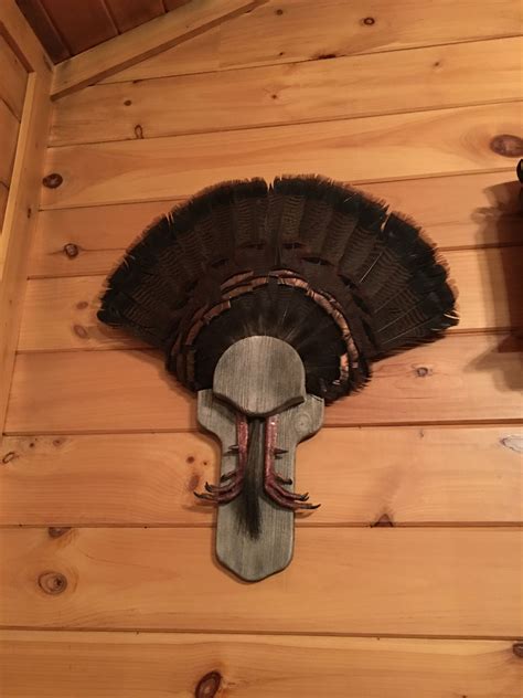 turkey fan mount ideas 9