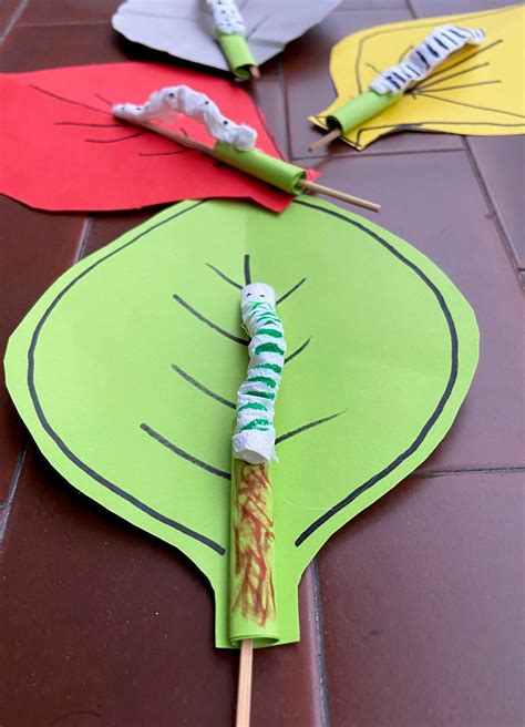 piccoli bruchi - la nemina