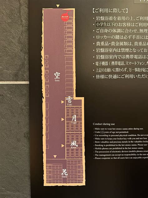 Haneda-Airport-Onsen-Izumi-Tenku — Yoyo Traveler