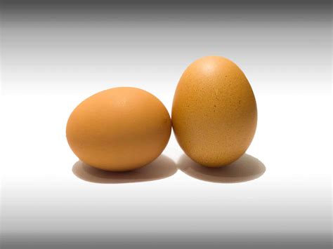 cara membuat pakan ayam supaya cepat besar 4