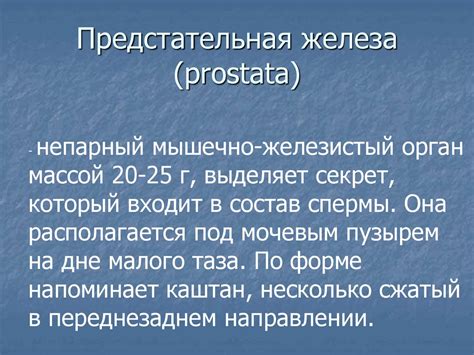Анатомия и физиология мужской репродуктивной системы - презентация онлайн