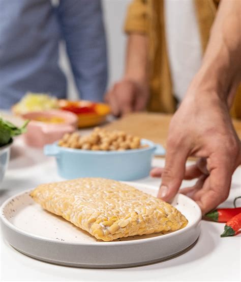 Probiotics Vs Prebiotics – The Gut Co®