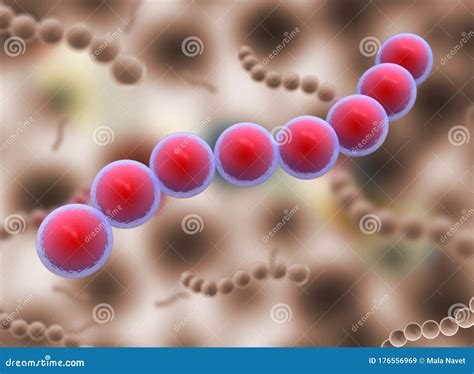 Cocci Shape Of Bacteria. Streptococci Type Bacteria. Stock Photography ...