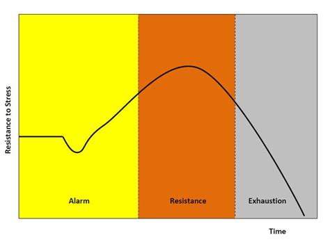 What is the Difference Between Habituation and Sensitization - Pediaa.Com