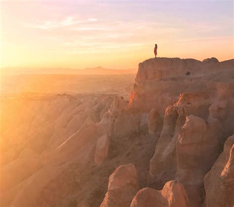 Ultimate Guide to iPhone Photography Tips, Accessories & Apps