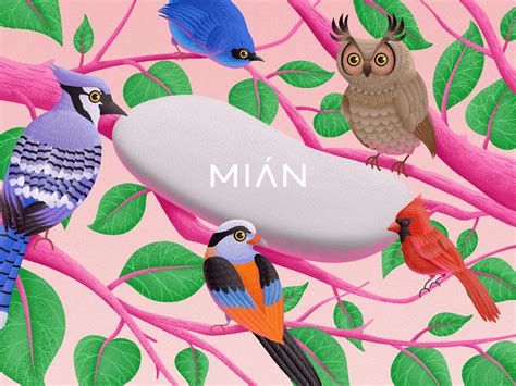 mian illustration  behance