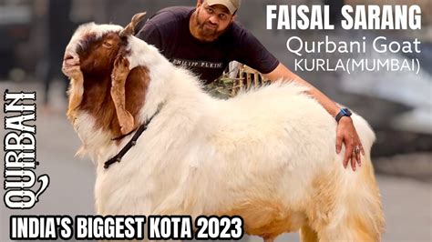 qurban indias   biggest kota   year owner faisal bhai