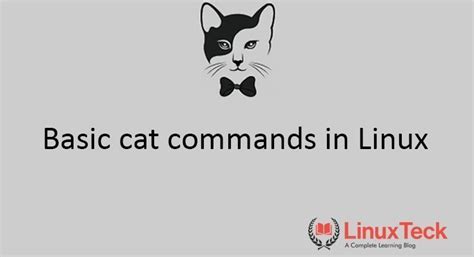 basic cat command  linux  examples linuxteck