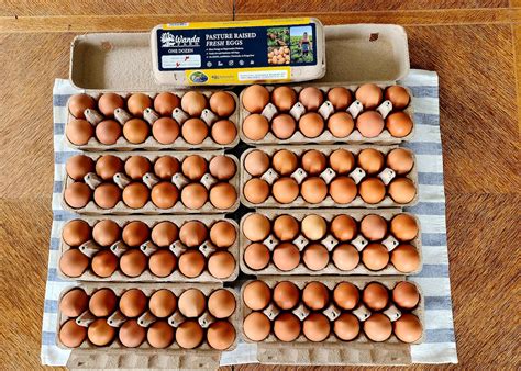 dozen farm fresh pastured eggs home delivery wanda farms llc