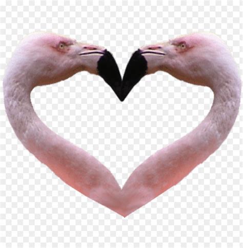 Flaming Heart cutout PNG & clipart images | TOPpng