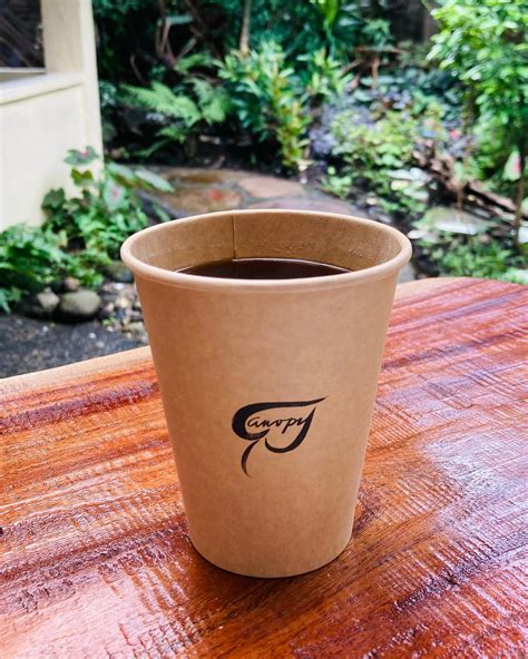 Canopy Coffee | Peaceful mornings and vibrant evenings: welcome to