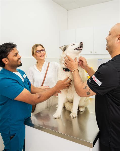 Pyoderma in Dogs: Causes, Types, and Treatment