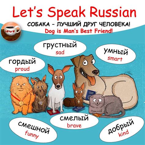 Собака | Idioma ruso, Aprender ruso, Idiomas