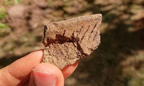 Jan Fast Archaeology : Corded ware pottery! Ruskiasuo day two :)