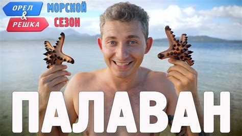 Палаван. Орёл и Решка. Морской сезон/По морям - YouTube