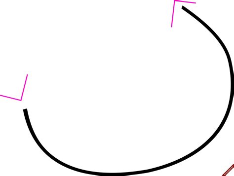 ve mui ten  theo duong cong dien  designer viet nam