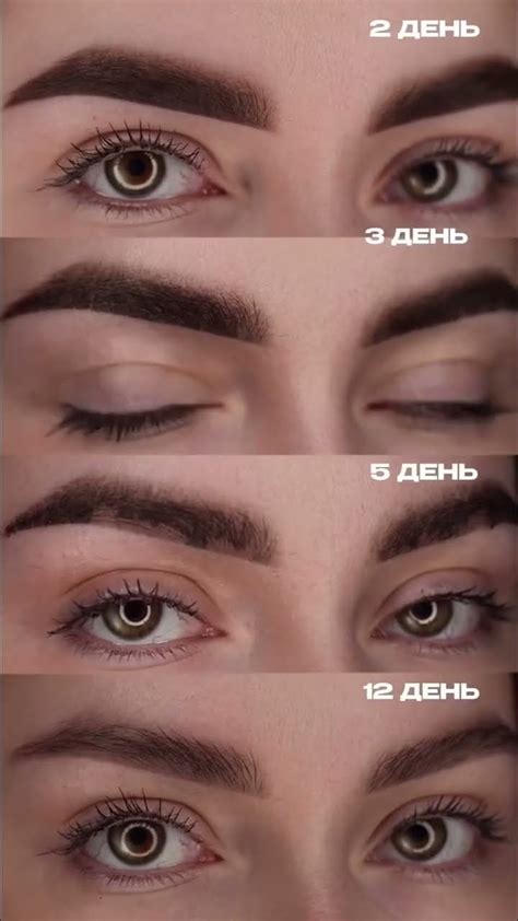 Этапы заживления перманентного макияжа бровей #перманентныймакияжуроки ...