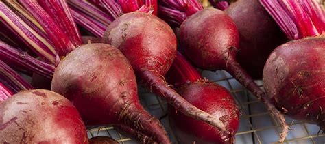 Betaine is used in natural skin care products for its moisturizing and ...