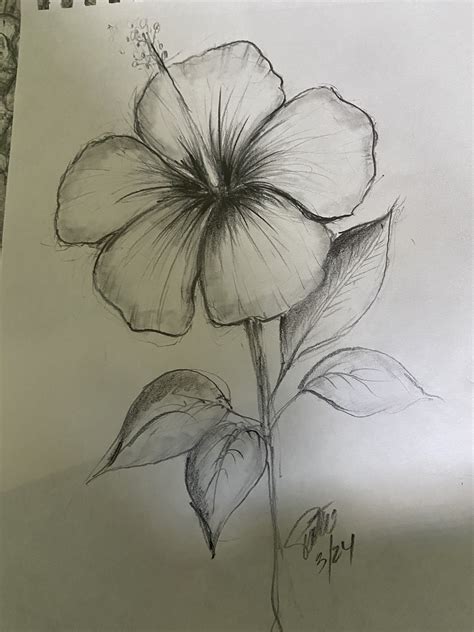 realistic flowers drawing 9