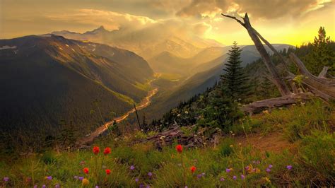 Nature 4K Wallpapers - Wallpaper Cave