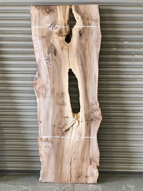 Elm #003 ⁄ Elephant Timber Supplies