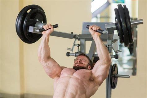 science  muscle growth part  infinite labs