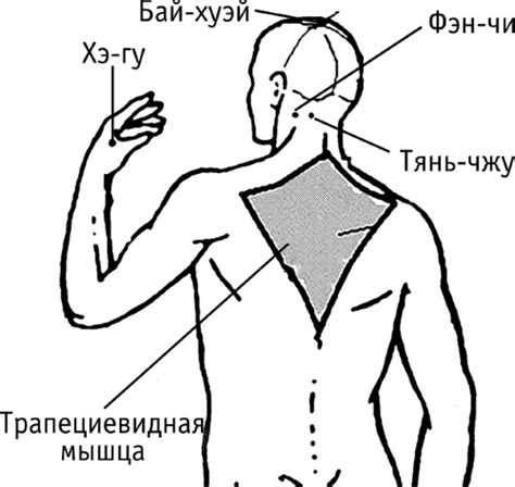 Точки акупунктуры на теле человека. Атлас, фото, как делать точечный массаж