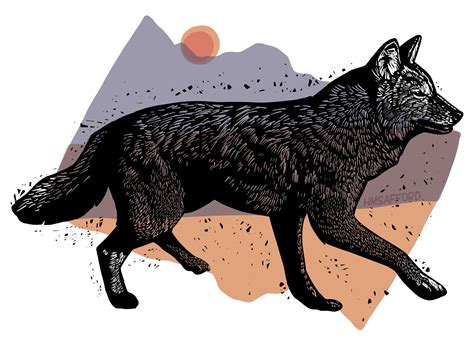 DIGITAL ILLUSTRATIONS — Safford Studio