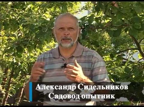 Ремонтантность? Важно знать! - YouTube