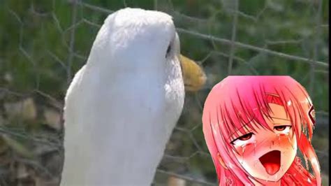 Hentai orgasm #45 - YouTube