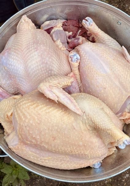 Принимаю заказы на мясо цыплят-бройлеров и уток из личного подворья ...