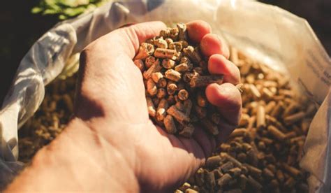Polvere di pellet, perché è pericolosa e come evitare la sua formazione ...