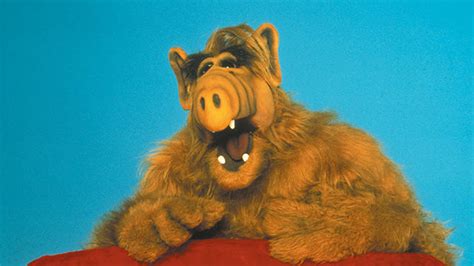 Alf - Der Außerirdische vom Planeten Melmac - RTL NITRO