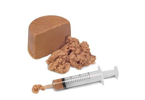 Recovery | Royal Canin IT