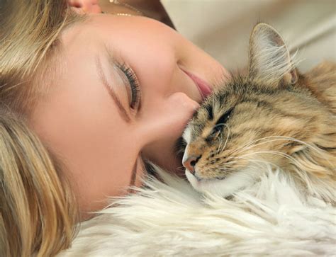 how to know if im my cats favorite person