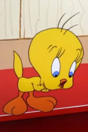List Of All Looney Tunes Characters