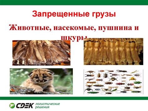 Опасные грузы - презентация онлайн