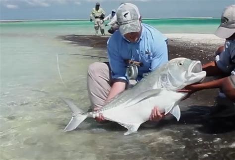 video roundup kiritimati island gts dyckers pike patagonia women