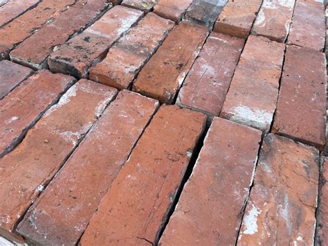 extruded wire cut bricks 2