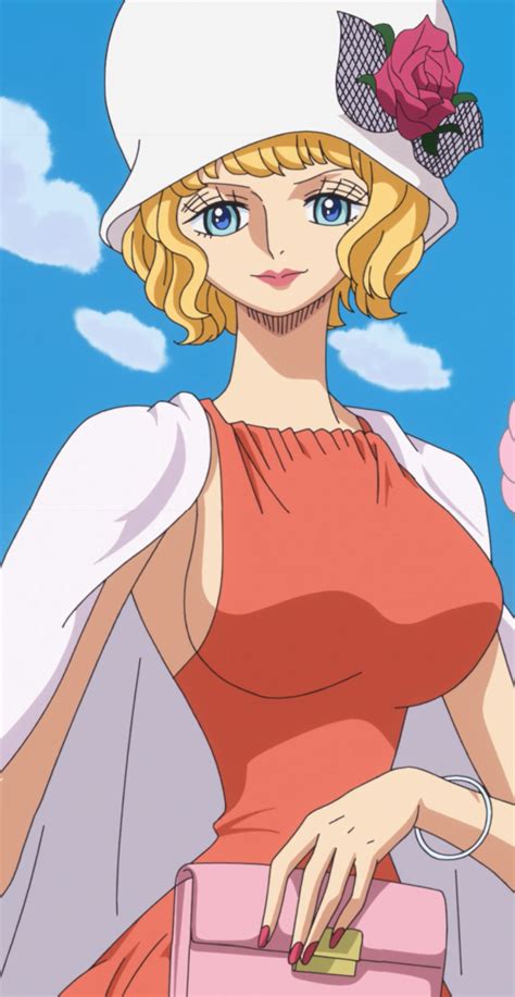 Stussy | One Piece Wiki | Fandom