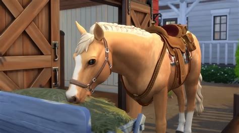The Sims 4: How to Get Hay for Your Horses