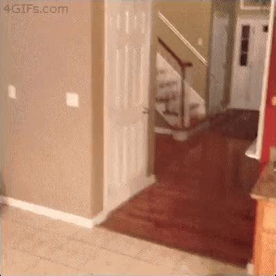 Prank Fail GIF - Prank Fail Ghost - Discover & Share GIFs