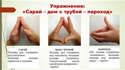 Кинезиология в логопедии. Игры и упражнения в картинках