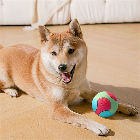 wycnly Kids Toys Pet Toys Dogs Won't Gnaw Dogs Won't Gnaw Molars Won't