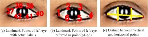 left eye  landmarks  distance