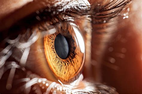 gift  sight  eyes   world