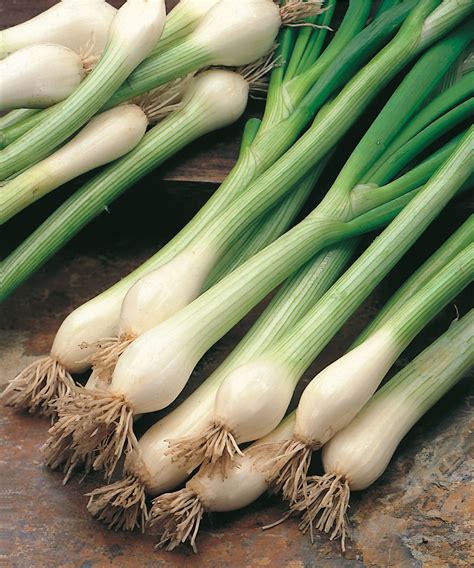 Types of onions: the best varieties for your vegetable patch | Homes
