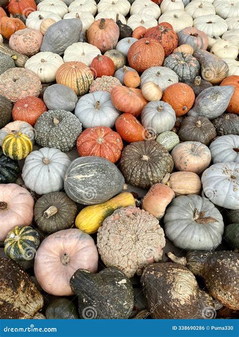 Full Frame Of Modern Glass Steel Architecture Stock Photo