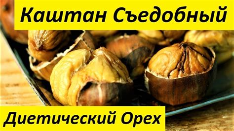 Каштан Съедобный - Диетический Орех. Идеален для Вегетарианской Диеты ...